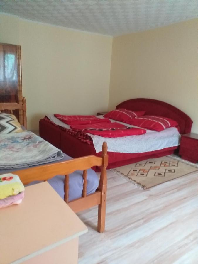 Kaktus Kaluderovo Exterior foto